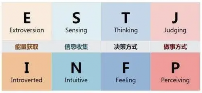 测一测MBTI中，你属于什么动物