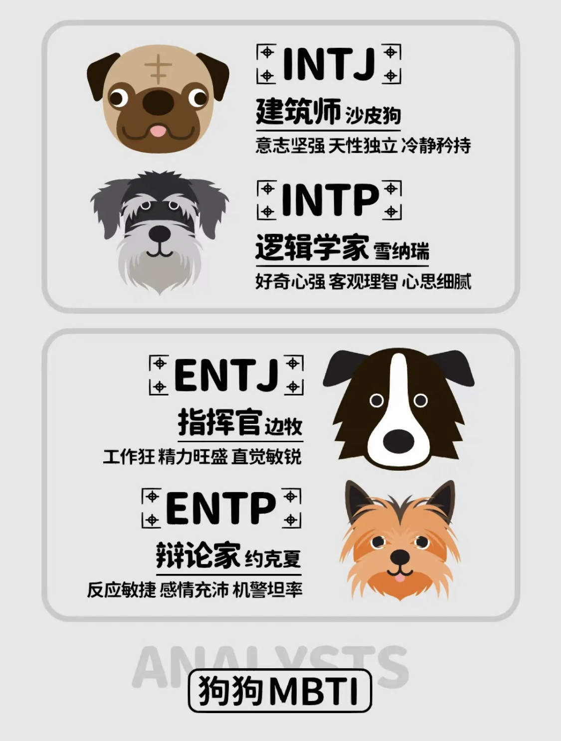 MBTI狗狗版丨看看你的性格像什么狗丨就想看看有多少人是“人间哈士奇”插图1