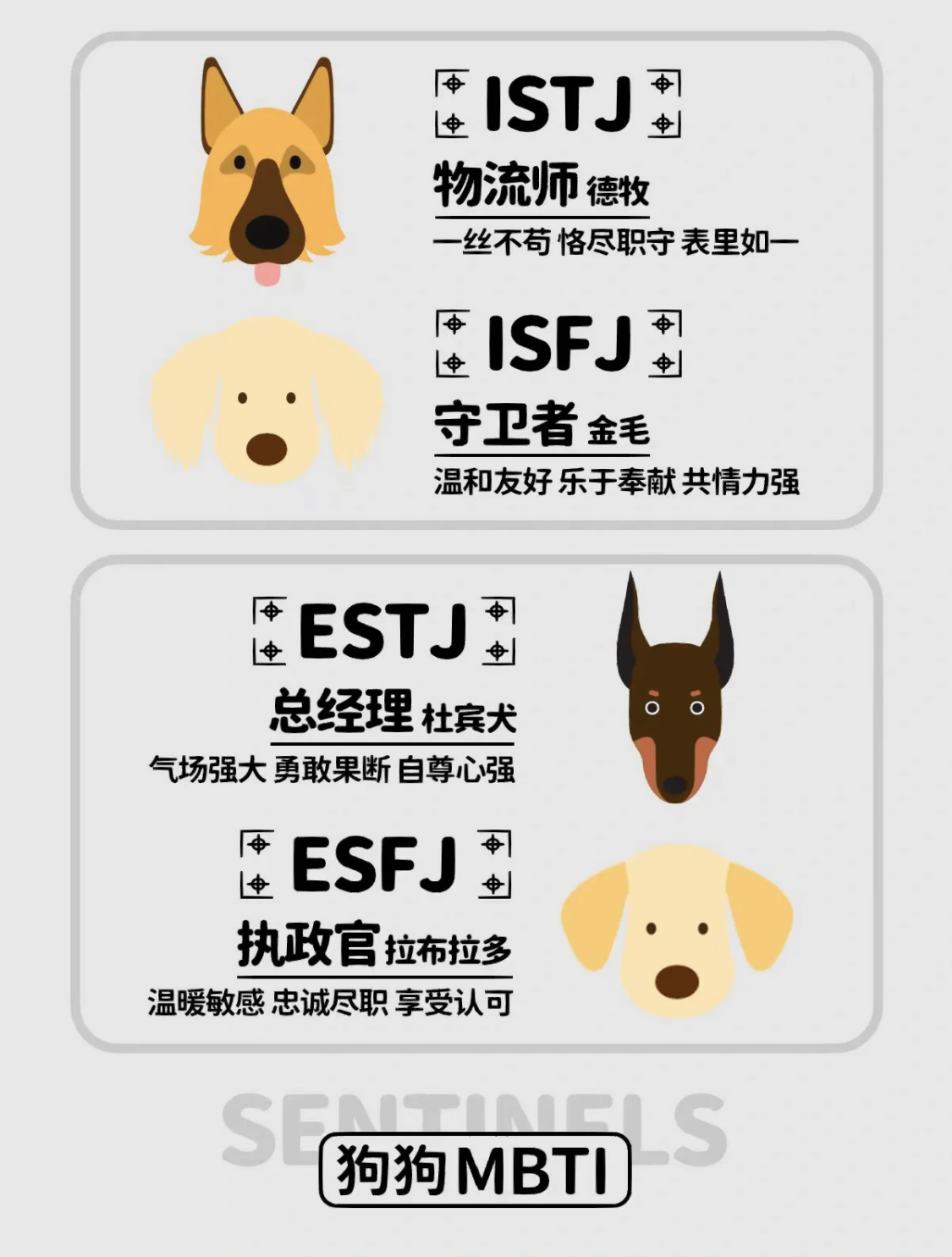 MBTI狗狗版丨看看你的性格像什么狗丨就想看看有多少人是“人间哈士奇”插图4