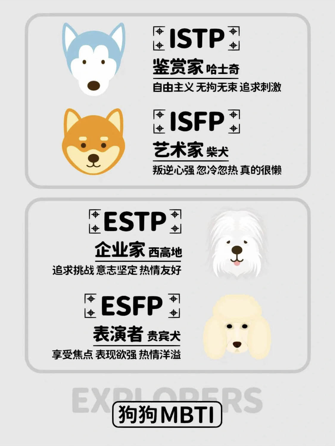 MBTI狗狗版丨看看你的性格像什么狗丨就想看看有多少人是“人间哈士奇”插图5