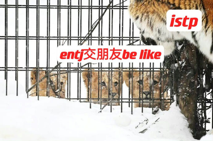 006nW6YZly1hbegbxwjy5j30j60cr0vi